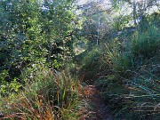 21 Arriva il sole ad asciugare l'erba bagnata di rugiada